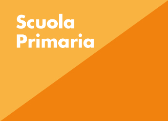 box_scuola_primaria